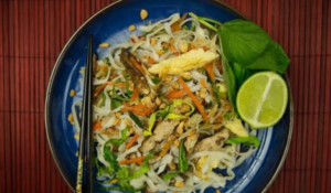 Best Chinese Chicken Recipes